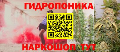 эйфоретик Кулебаки